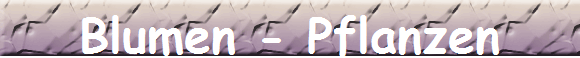 Blumen - Pflanzen